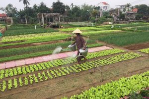 Eco And Farming Group Tour